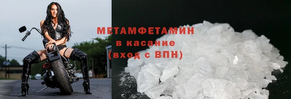 шишки Горно-Алтайск