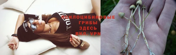 PSILOCYBIN Горнозаводск