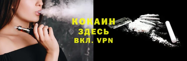 шишки Горно-Алтайск