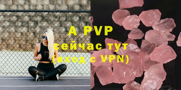 шишки Горно-Алтайск