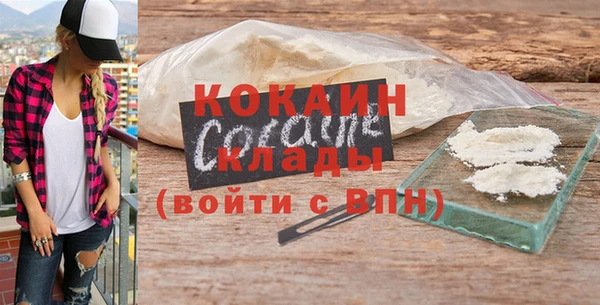 шишки Горно-Алтайск