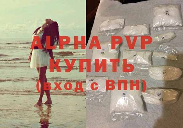 шишки Горно-Алтайск