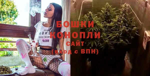 PSILOCYBIN Горнозаводск