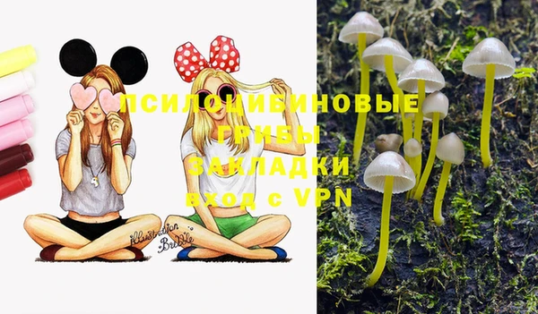 шишки Горно-Алтайск