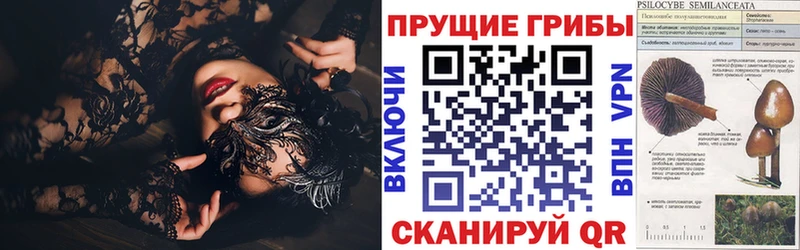 ОМГ ОМГ ссылки  Ноябрьск  Галлюциногенные грибы мухоморы  что такое  