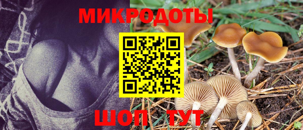 Галлюциногенные грибы MAGIC MUSHROOMS  Вход с VPN  купить   Ноябрьск 