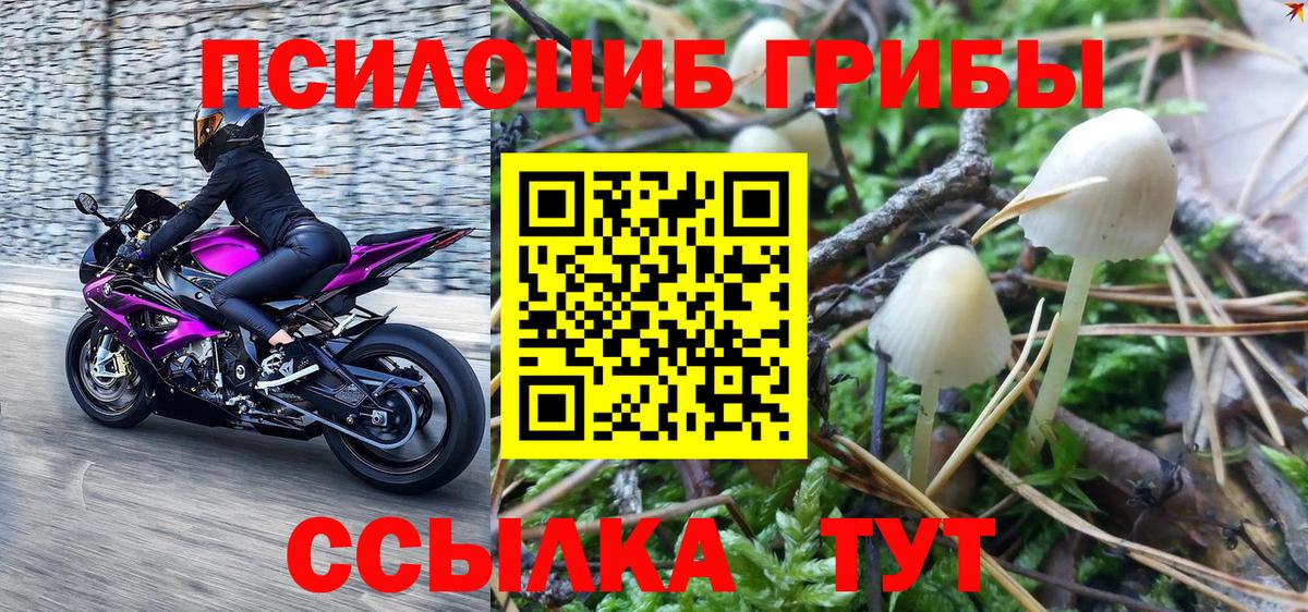Галлюциногенные грибы прущие грибы Ноябрьск